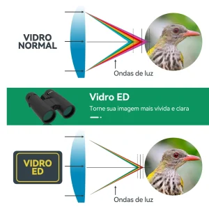 Lentes ED do SA205 comparadas a vidro comum
