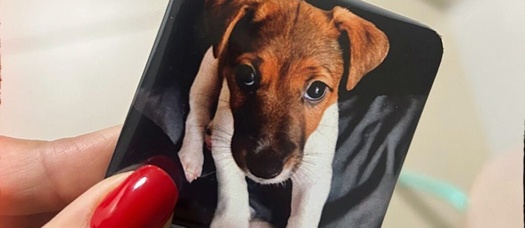 Ímã personalizado com foto de pet — curso Gifts da Isa