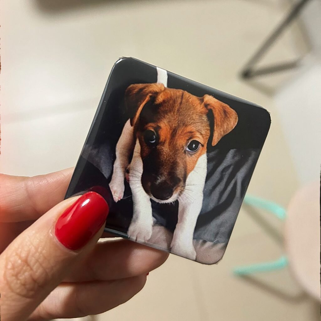 Ímã personalizado com foto de pet — curso Gifts da Isa