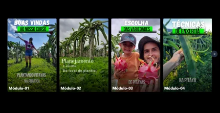 Módulos do curso Plantando Pitayas na Prática: plantação, variedades e enxertia de pitaya