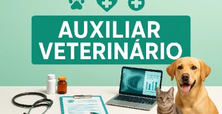 Equipe veterinária examinando um cachorro, capa do curso de Auxiliar Veterinário