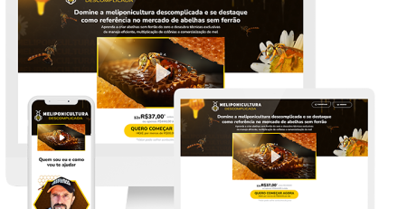 Colmeia de abelhas sem ferrão, do curso Meliponicultura Descomplicada