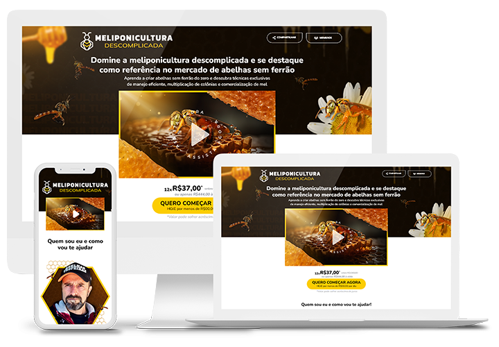 Colmeia de abelhas sem ferrão, do curso Meliponicultura Descomplicada