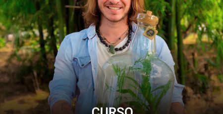 Terrário de vidro com plantas, do curso Vivendo de Terrários
